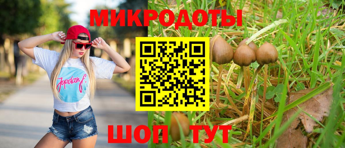 Новокуйбышевск  Галлюциногенные грибы Psilocybine cubensis  Вход с VPN  Галлюциногенные грибы Magic Shrooms 