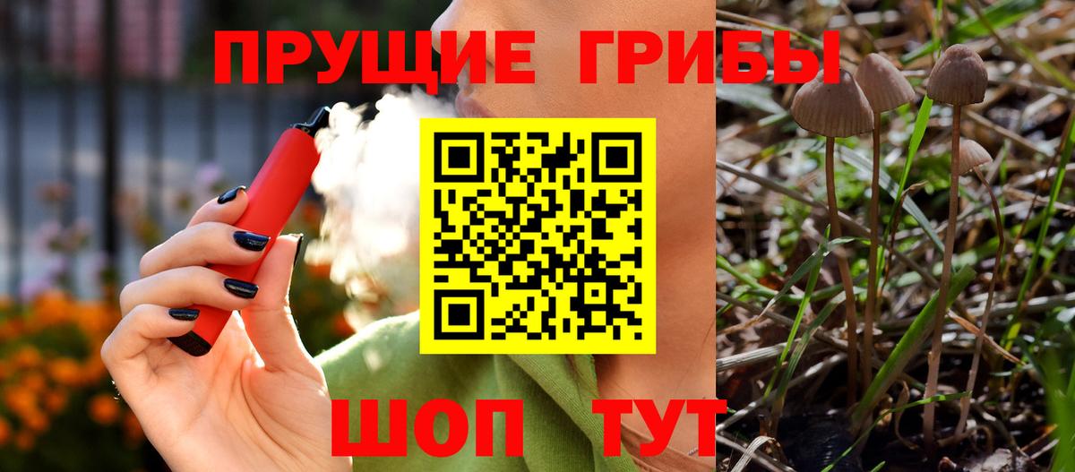 Галлюциногенные грибы Psilocybe Новокуйбышевск